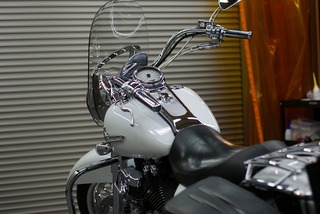 s-DSC04287
