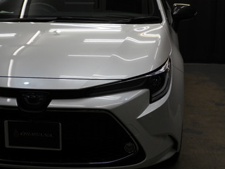 sP1170024
