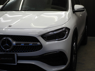 sP6010022