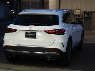 sP6010031