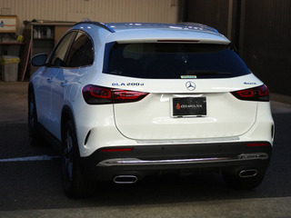 sP6010033