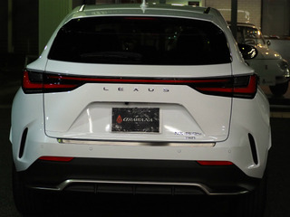 sP1300050