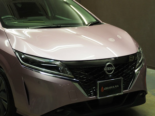 sP6230061
