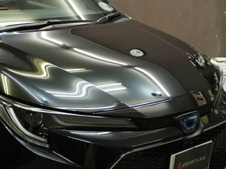 sPB300055