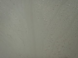 P7170024