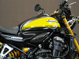 sP3120079