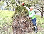 佐藤浩65雑草を積み上げる