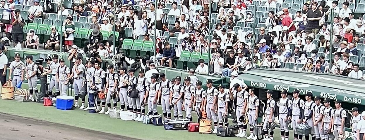 仙台育英　まとめ売り 甲子園 高校野球 仙台育英 優勝グッズ 本 雑誌 まとめ売り