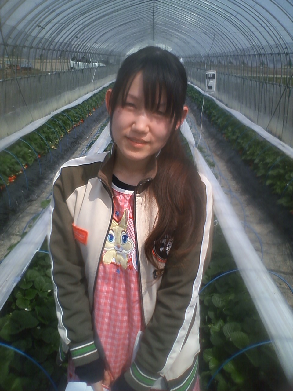 うまいものsun直らじお イチゴ 映画西川美和監督 蛇イチゴ 荒井幸博today