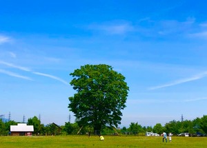 西公園 キャンプ場化 荒井幸博today 西公園 キャンプ場化 荒井幸博today