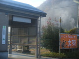 101119 高瀬駅紅花