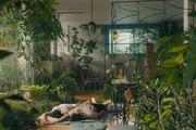 『ひとりぼっちじゃない』緑あふれる部屋