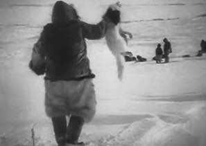 ロバート フラハティ監督 極北のナヌーク 鈴木崇さんヴァイオリン演奏の共演 荒井幸博today