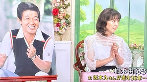 【中古】 坂本繁雄集 幸運の椅子/近代文芸社/坂本繁雄 7fdb63d5-s.jpg