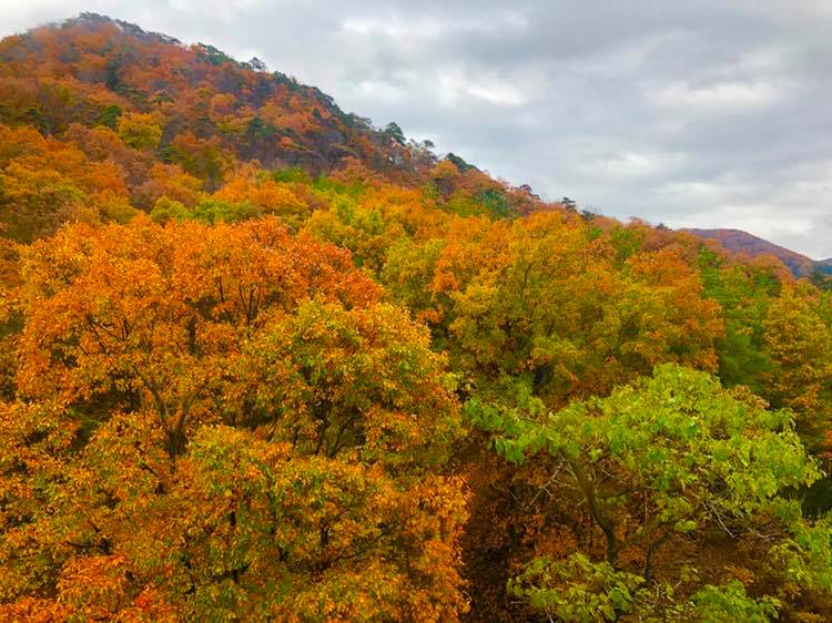 千歳山 (沖縄県)