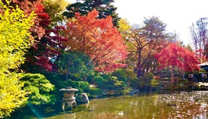 紅葉公園(清風荘池)