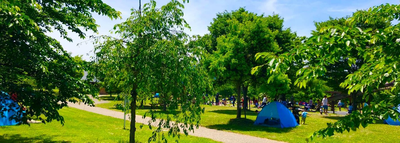 西公園 キャンプ場化 荒井幸博today 西公園 キャンプ場化 荒井幸博today