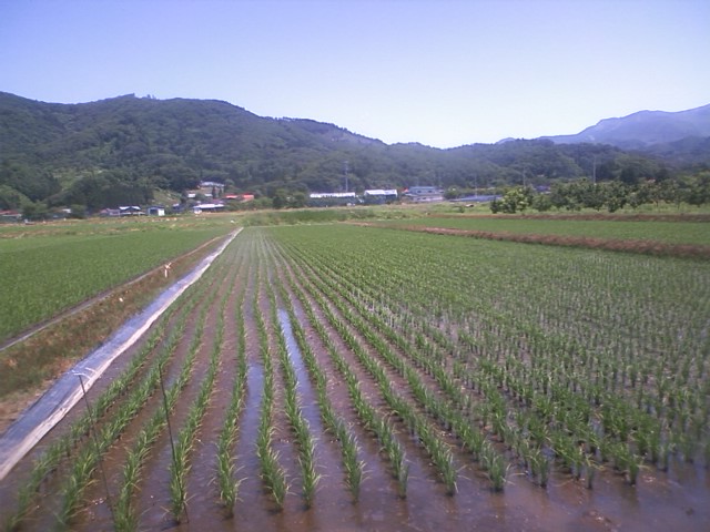 荒井幸博TODAY