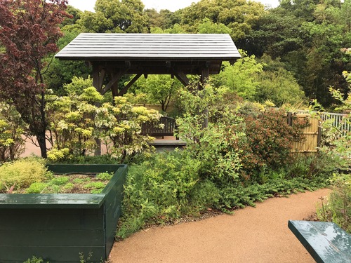 屋上庭園