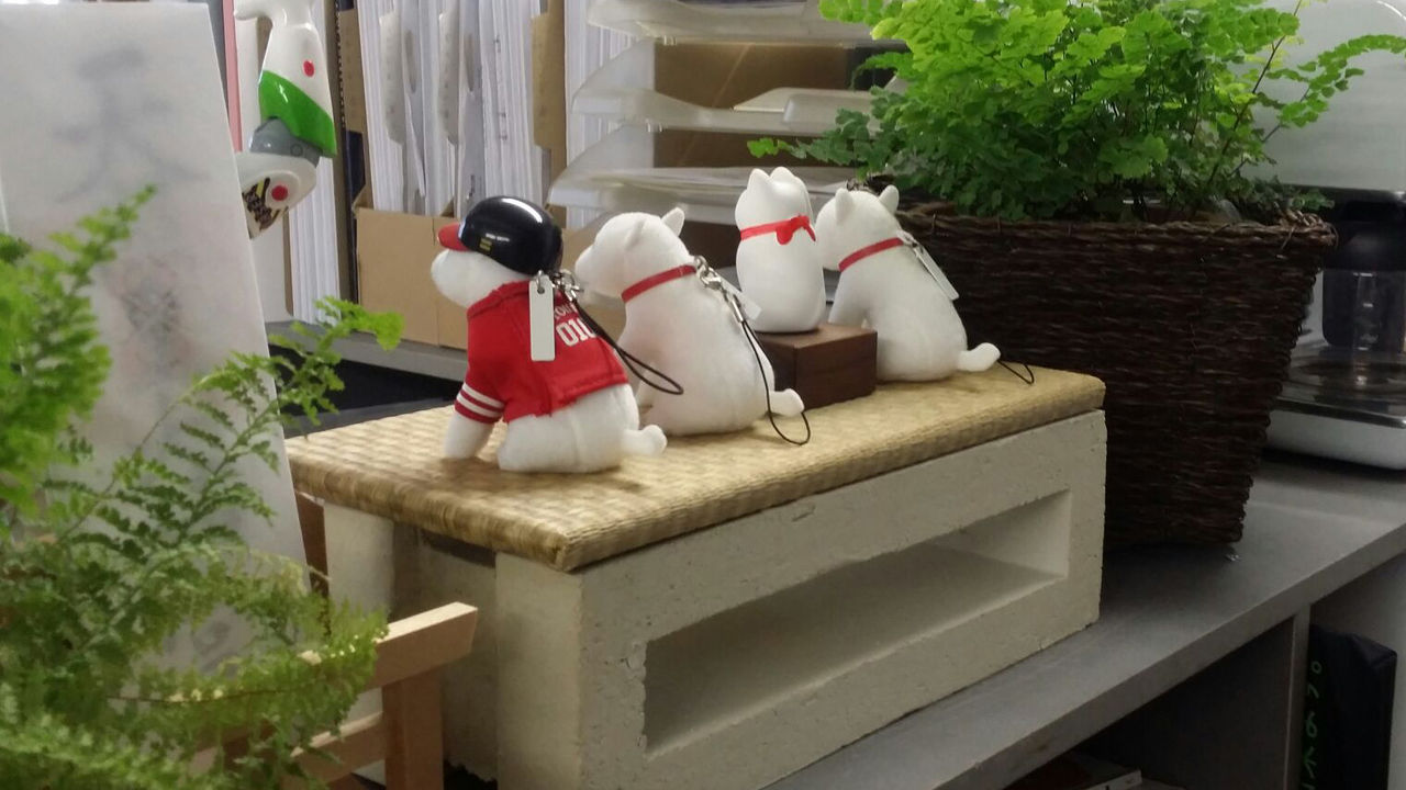 お父さん犬 Arco Blog