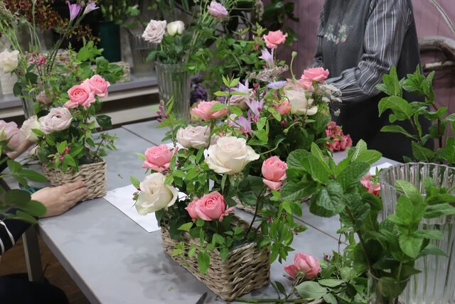 IMG_5524