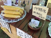 IMG_6940