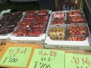 IMG_3881