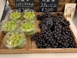 IMG_5809