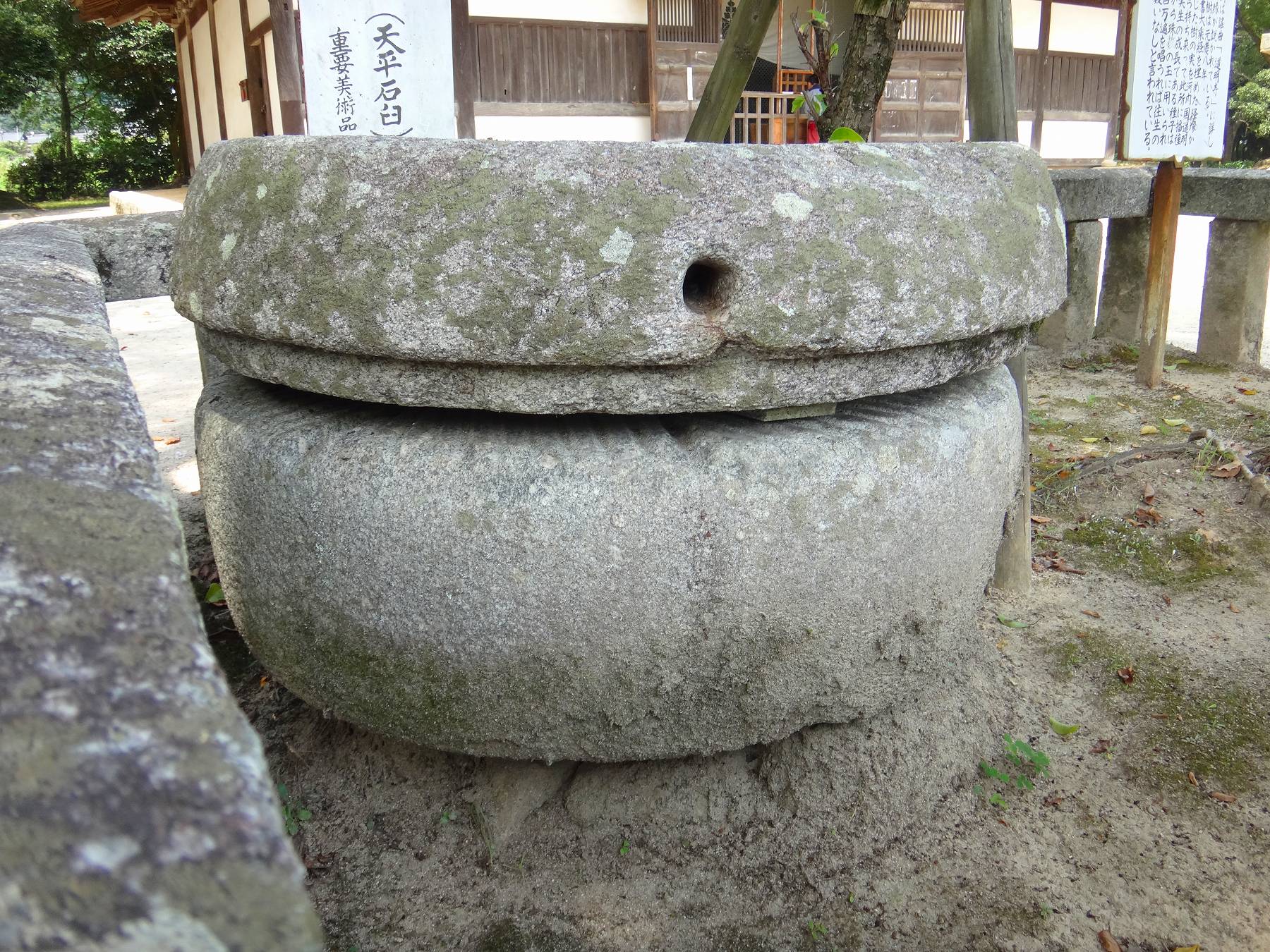 観世音寺 碾磑 てんがい Ancient Botanical Garden 観世音寺 碾磑 てんがい Ancient Botanical Garden