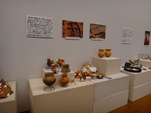 tomioka (2)