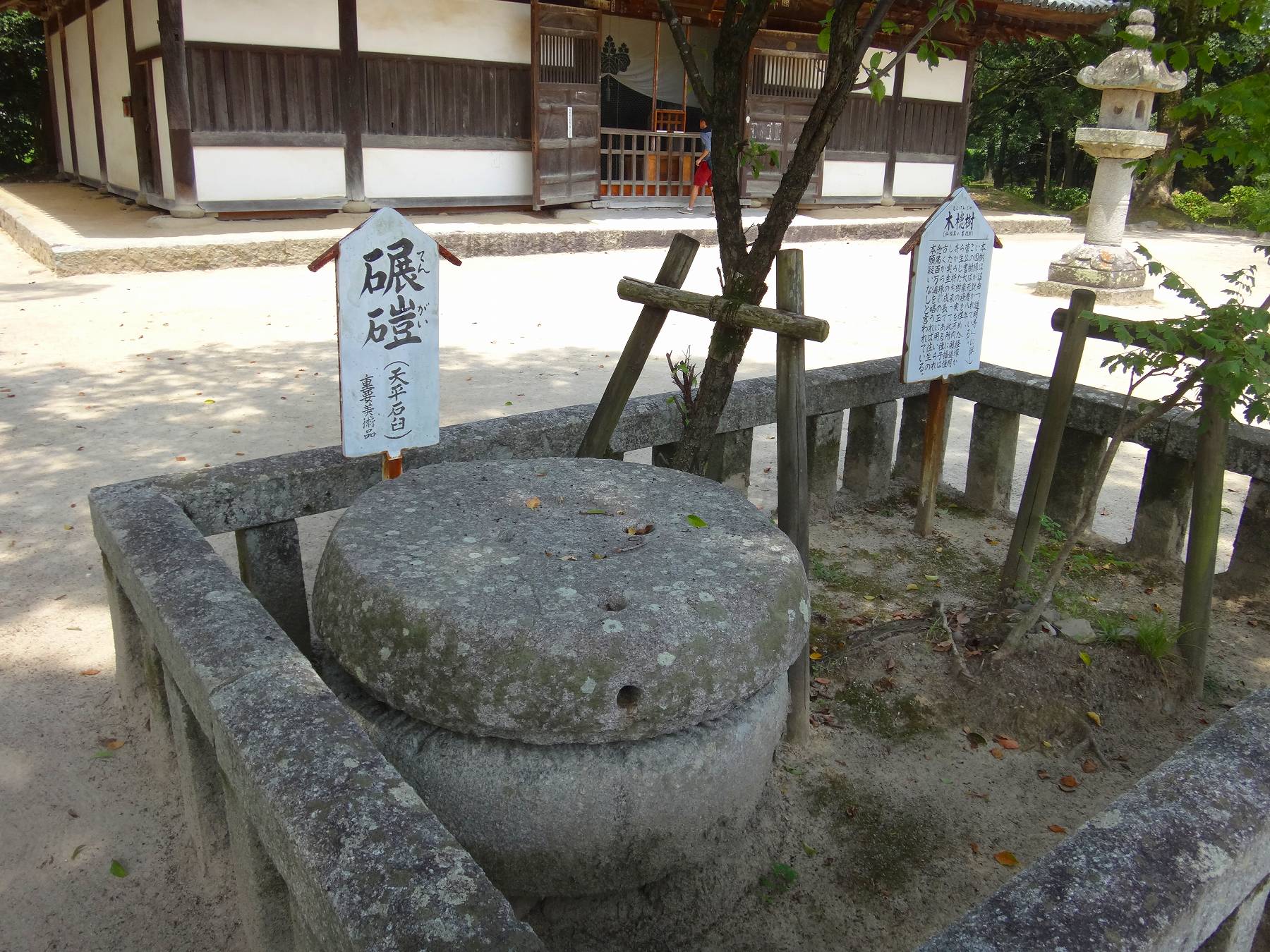 観世音寺 碾磑 てんがい Ancient Botanical Garden 観世音寺 碾磑 てんがい Ancient Botanical Garden