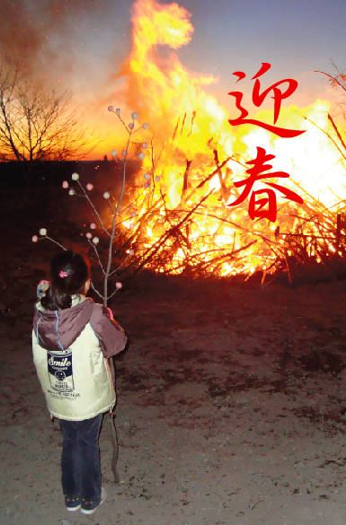 迎春