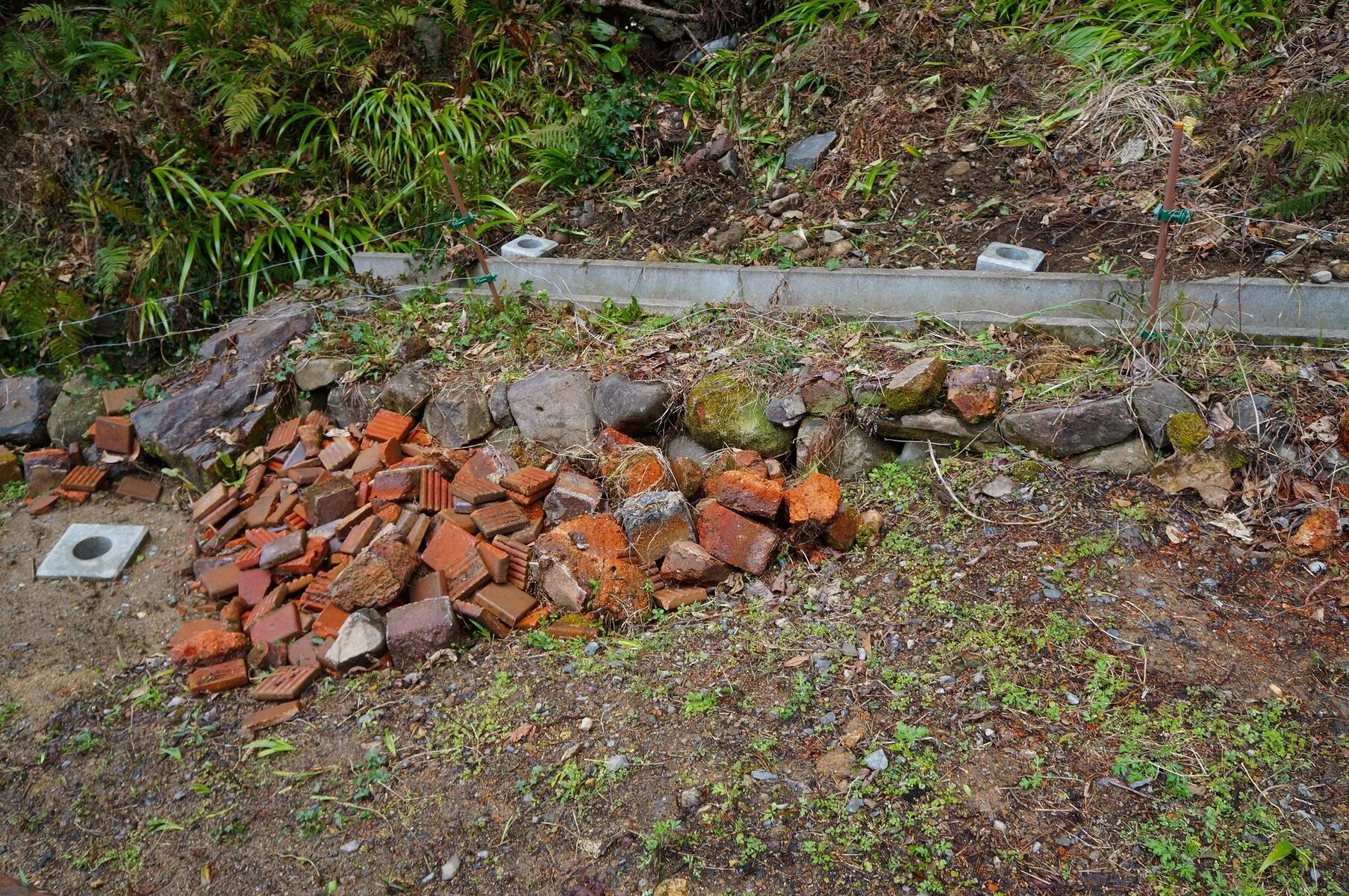 長崎行 波佐見中尾上登窯跡 Ancient Botanical Garden