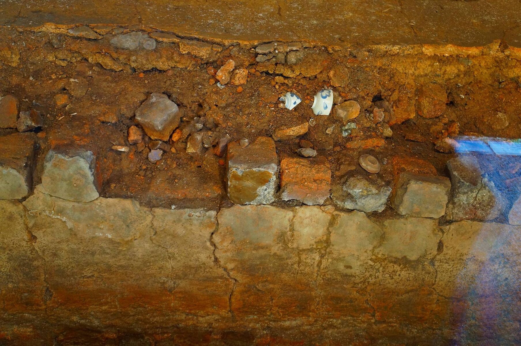 長崎行 波佐見中尾上登窯跡 Ancient Botanical Garden