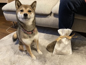 ももゃん