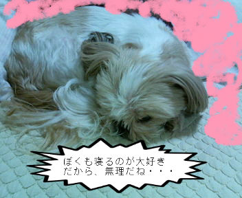 BlogPaint