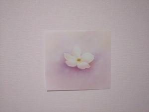 0027フラワー1