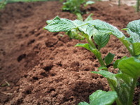 09