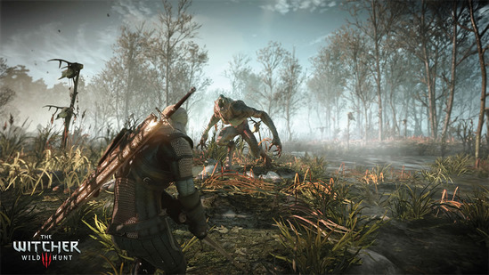 witcher3