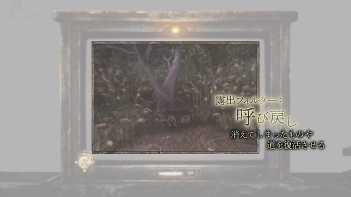 露出フィルター：呼び戻し