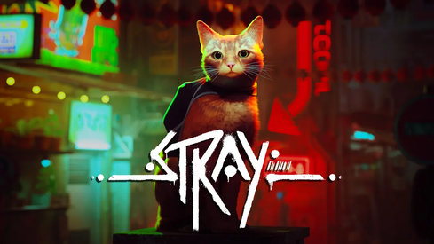 Stray_TOP