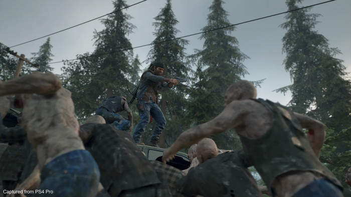 Days Gone