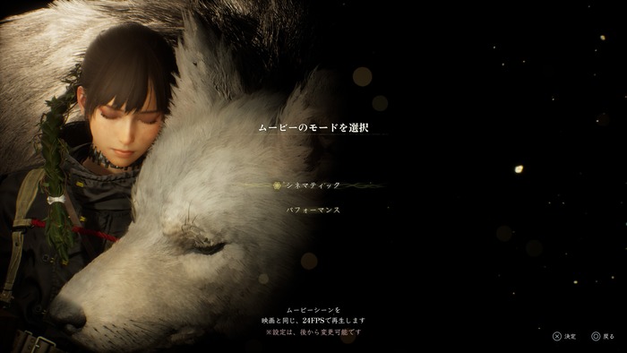 Beast of Reincarnation_ムービーを24FPSで表示
