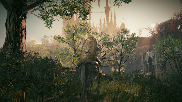 ELDEN RING3