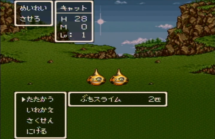 dq6