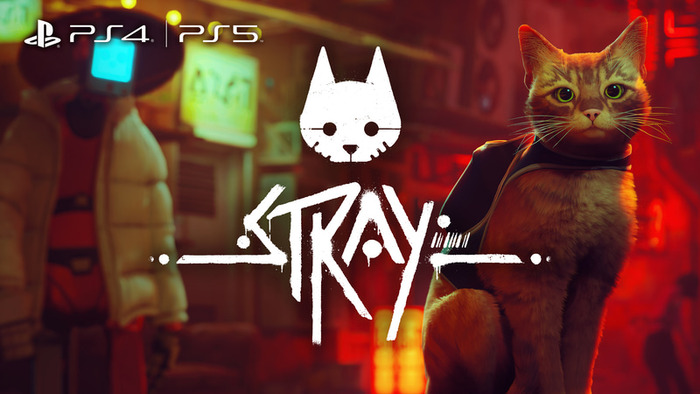 Stray_TOP