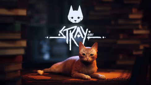 Stray_TOP