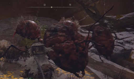 エルデンリング 深き根の底 蟻