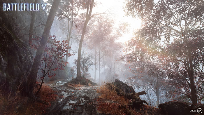 BF5-2018-1020