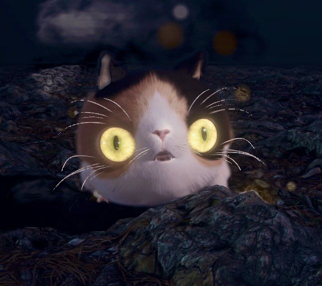 郎報 仁王2のすねこすり カワヨ 人気の アプリ コミック にどっぷりハマって暇なし生活